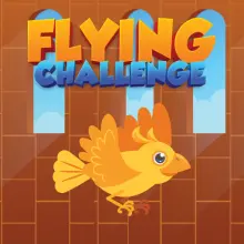 Flying Challenge